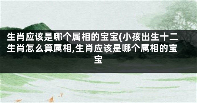 生肖应该是哪个属相的宝宝(小孩出生十二生肖怎么算属相,生肖应该是哪个属相的宝宝