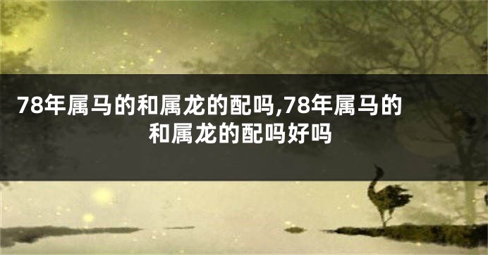 78年属马的和属龙的配吗,78年属马的和属龙的配吗好吗