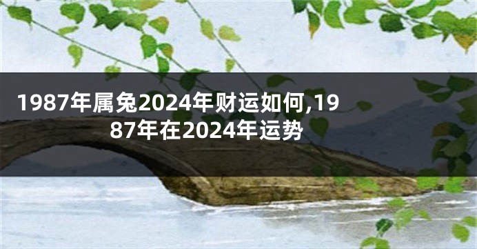 1987年属兔2024年财运如何,1987年在2024年运势