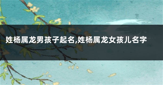 姓杨属龙男孩子起名,姓杨属龙女孩儿名字