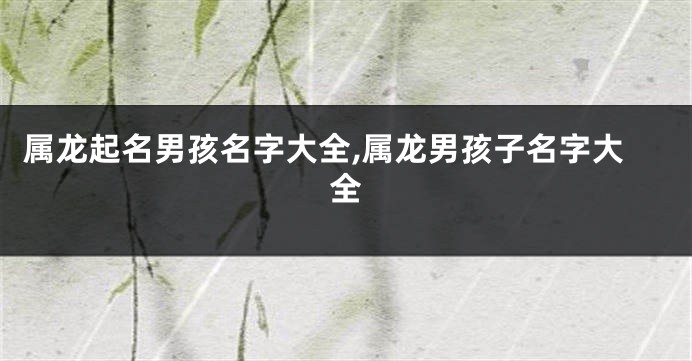 属龙起名男孩名字大全,属龙男孩子名字大全