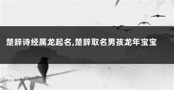 楚辞诗经属龙起名,楚辞取名男孩龙年宝宝