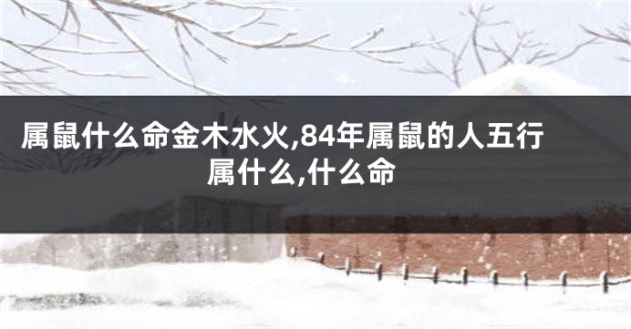 属鼠什么命金木水火,84年属鼠的人五行属什么,什么命