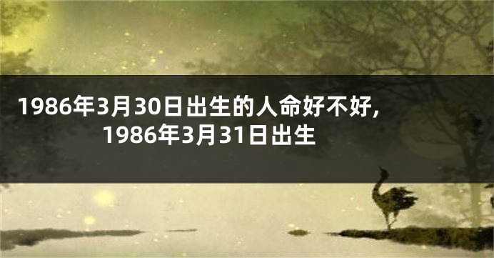 1986年3月30日出生的人命好不好,1986年3月31日出生