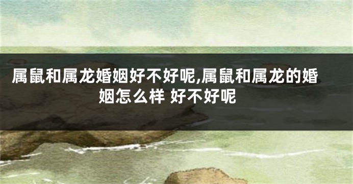 属鼠和属龙婚姻好不好呢,属鼠和属龙的婚姻怎么样 好不好呢
