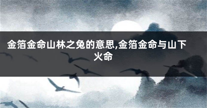 金箔金命山林之兔的意思,金箔金命与山下火命
