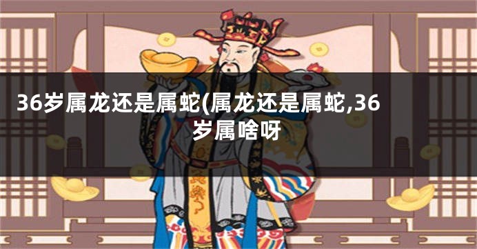 36岁属龙还是属蛇(属龙还是属蛇,36岁属啥呀