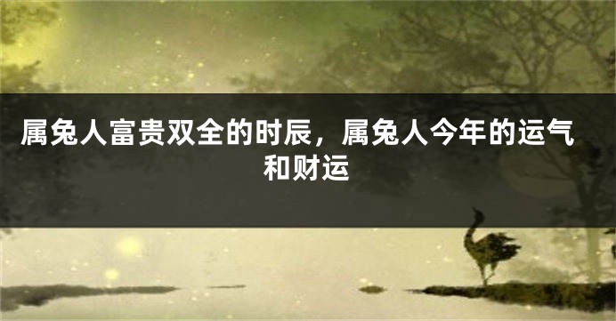 属兔人富贵双全的时辰，属兔人今年的运气和财运