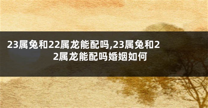 23属兔和22属龙能配吗,23属兔和22属龙能配吗婚姻如何