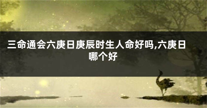 三命通会六庚日庚辰时生人命好吗,六庚日哪个好