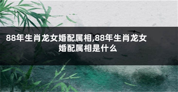88年生肖龙女婚配属相,88年生肖龙女婚配属相是什么
