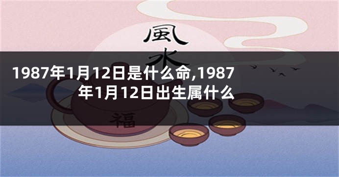 1987年1月12日是什么命,1987年1月12日出生属什么