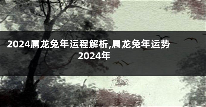 2024属龙兔年运程解析,属龙兔年运势2024年
