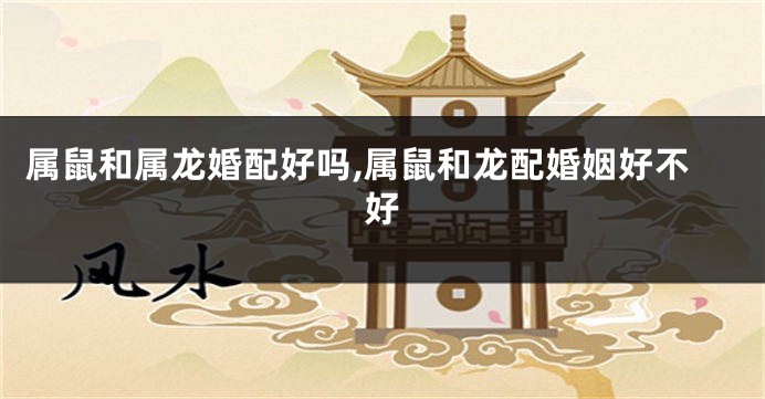 属鼠和属龙婚配好吗,属鼠和龙配婚姻好不好
