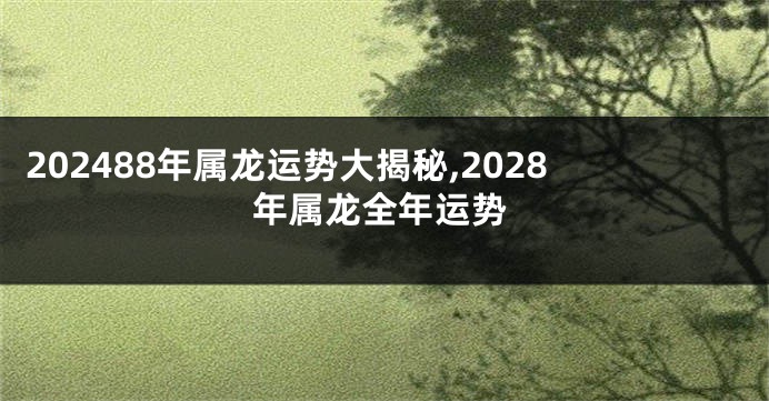 202488年属龙运势大揭秘,2028年属龙全年运势