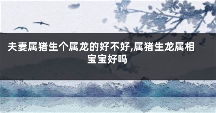 夫妻属猪生个属龙的好不好,属猪生龙属相宝宝好吗