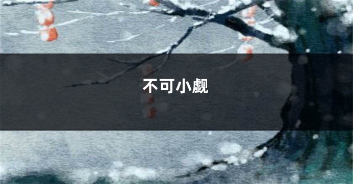 不可小觑