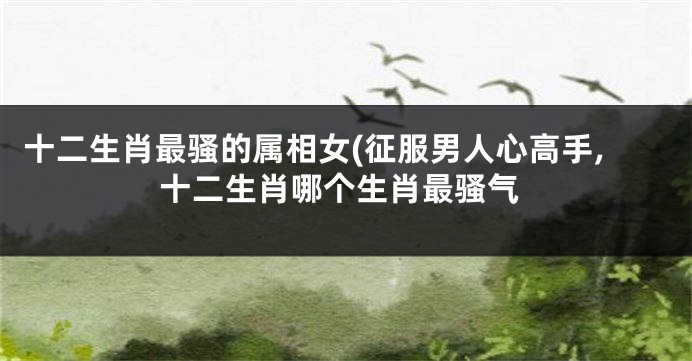 十二生肖最骚的属相女(征服男人心高手,十二生肖哪个生肖最骚气