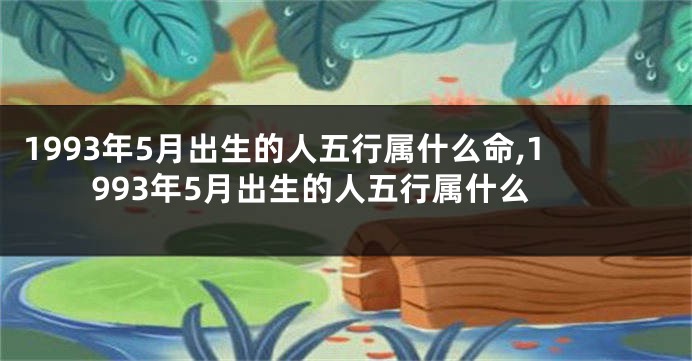 1993年5月出生的人五行属什么命,1993年5月出生的人五行属什么