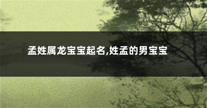 孟姓属龙宝宝起名,姓孟的男宝宝