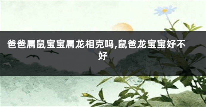 爸爸属鼠宝宝属龙相克吗,鼠爸龙宝宝好不好