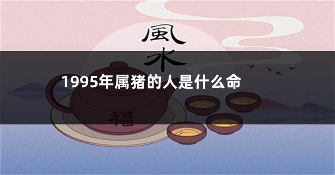 1995年属猪的人是什么命