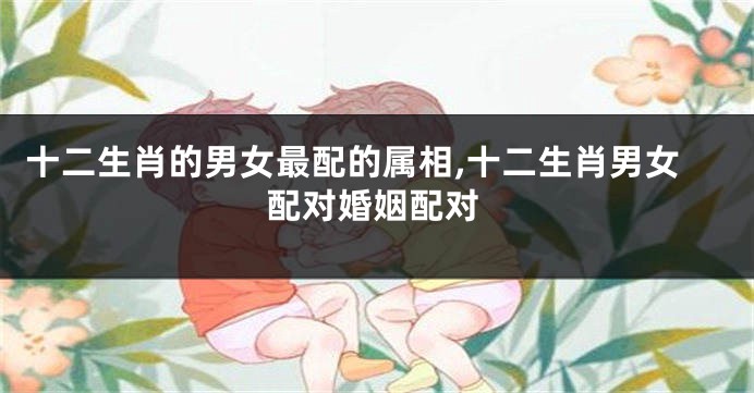 十二生肖的男女最配的属相,十二生肖男女配对婚姻配对