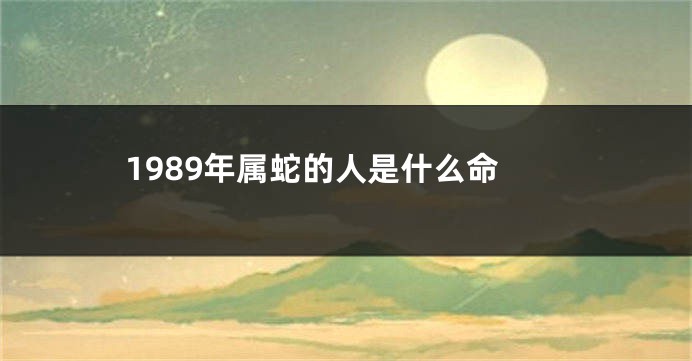1989年属蛇的人是什么命