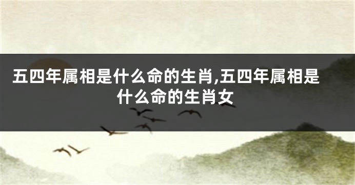 五四年属相是什么命的生肖,五四年属相是什么命的生肖女