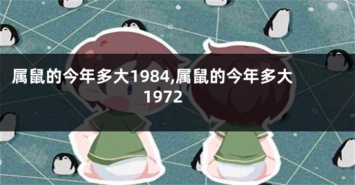 属鼠的今年多大1984,属鼠的今年多大1972