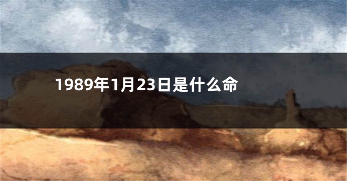 1989年1月23日是什么命