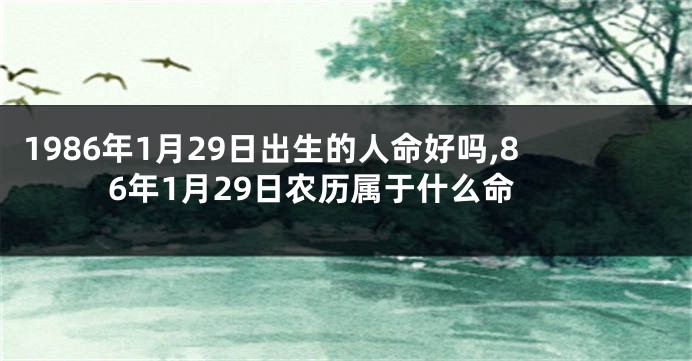 1986年1月29日出生的人命好吗,86年1月29日农历属于什么命