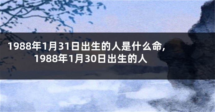1988年1月31日出生的人是什么命,1988年1月30日出生的人