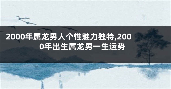 2000年属龙男人个性魅力独特,2000年出生属龙男一生运势