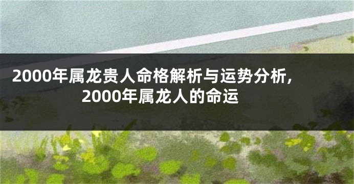 2000年属龙贵人命格解析与运势分析,2000年属龙人的命运