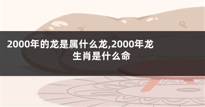 2000年的龙是属什么龙,2000年龙生肖是什么命