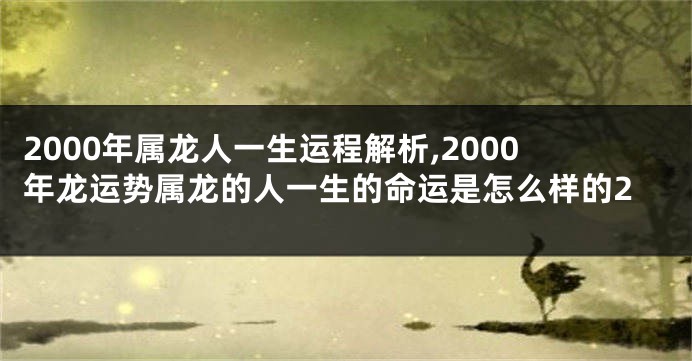 2000年属龙人一生运程解析,2000年龙运势属龙的人一生的命运是怎么样的2