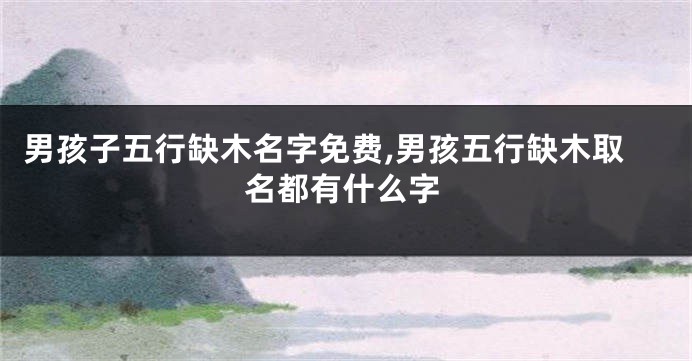 男孩子五行缺木名字免费,男孩五行缺木取名都有什么字