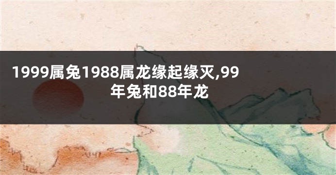 1999属兔1988属龙缘起缘灭,99年兔和88年龙