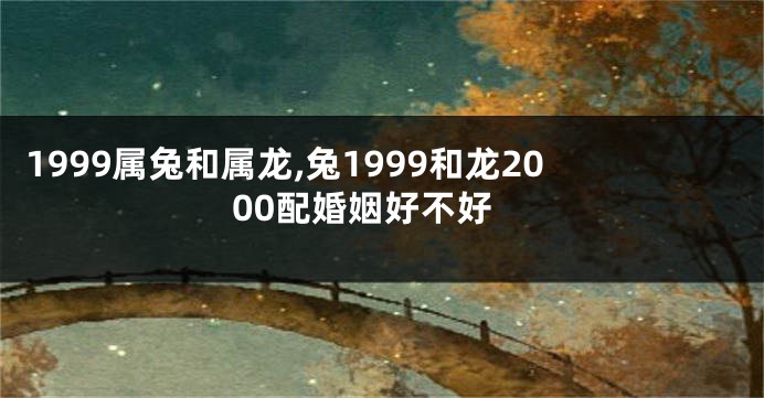 1999属兔和属龙,兔1999和龙2000配婚姻好不好