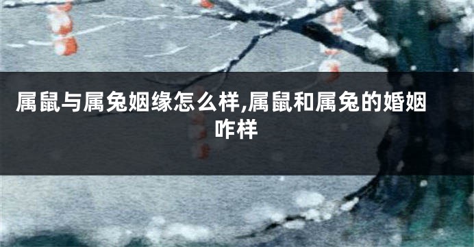 属鼠与属兔姻缘怎么样,属鼠和属兔的婚姻咋样
