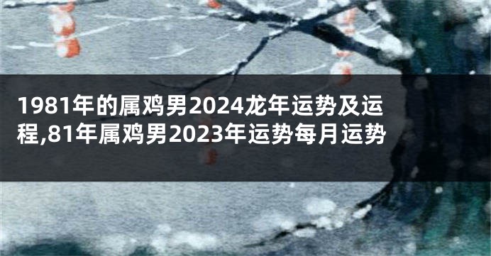 1981年的属鸡男2024龙年运势及运程,81年属鸡男2023年运势每月运势