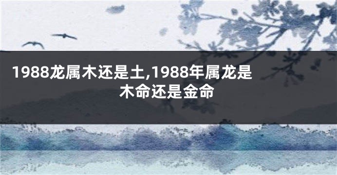 1988龙属木还是土,1988年属龙是木命还是金命