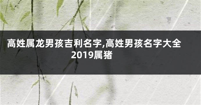 高姓属龙男孩吉利名字,高姓男孩名字大全2019属猪