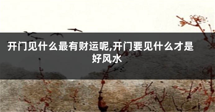 开门见什么最有财运呢,开门要见什么才是好风水