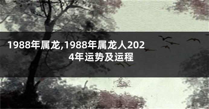 1988年属龙,1988年属龙人2024年运势及运程