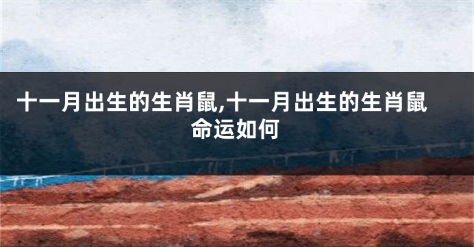 十一月出生的生肖鼠,十一月出生的生肖鼠命运如何