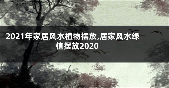 2021年家居风水植物摆放,居家风水绿植摆放2020