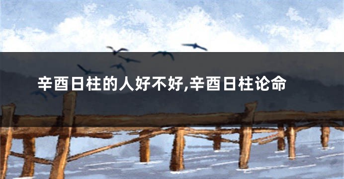 辛酉日柱的人好不好,辛酉日柱论命