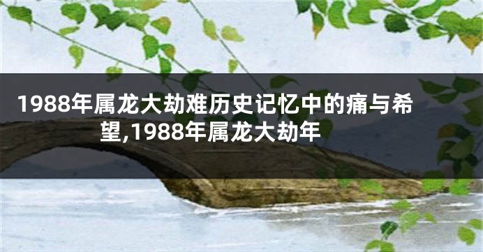 1988年属龙大劫难历史记忆中的痛与希望,1988年属龙大劫年